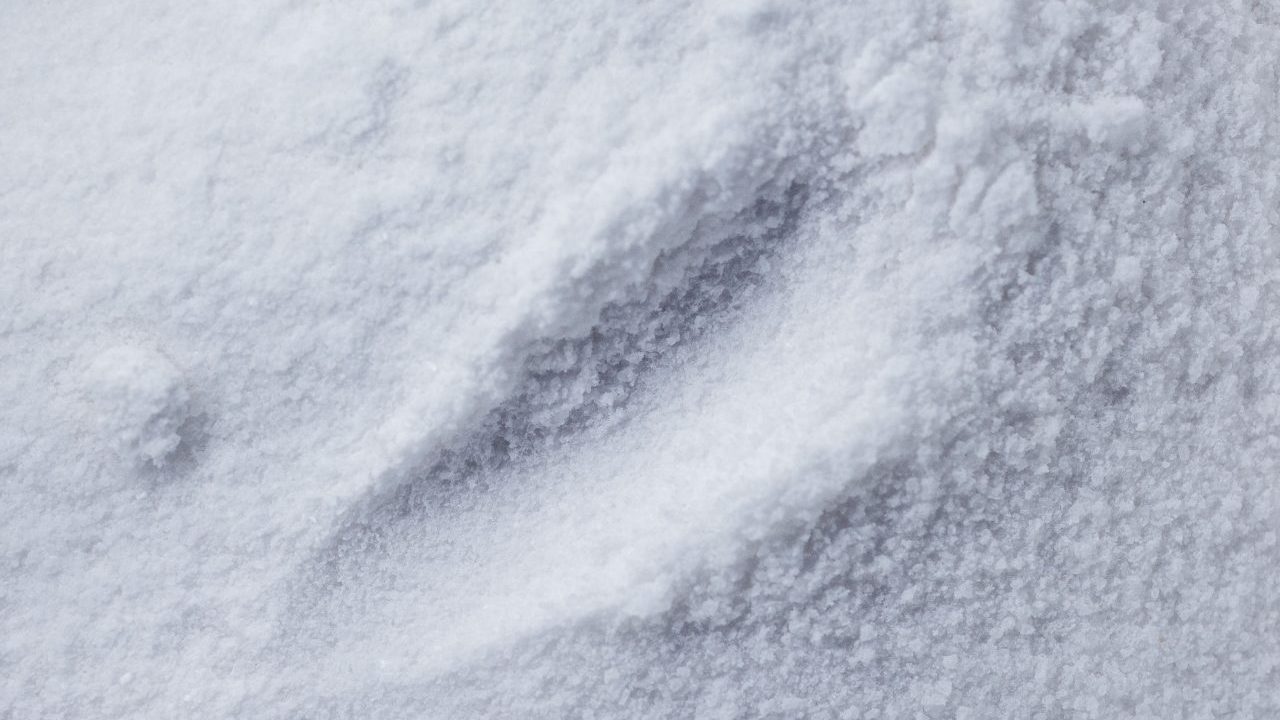 尼龙66 / 聚氨酯为什么离不开己二酸（AA）？从分子结构到产业链一文读懂
